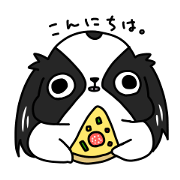 Japanese chin Mochio vol.1