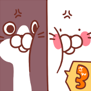 Twin cats nyansuke&kojiro 3