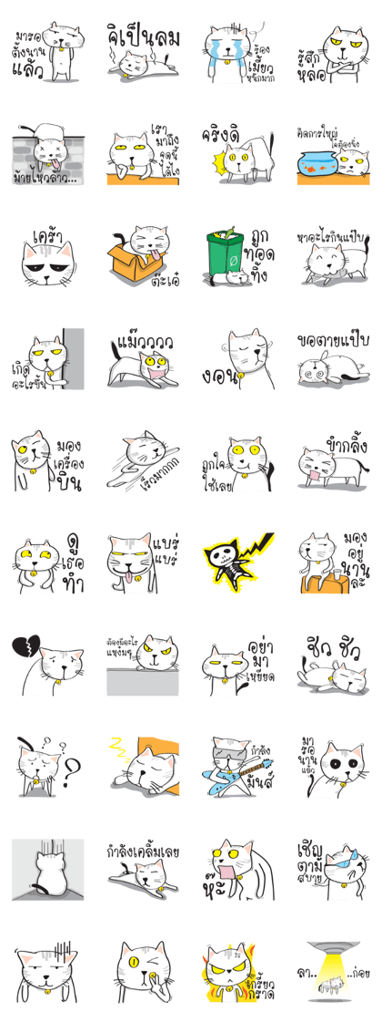 white cat in the house