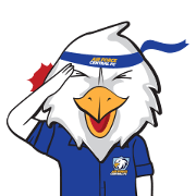 Air Force Central FC