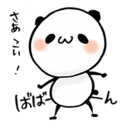 a cute panda a cute panda