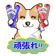 Daily life of Corgi Daily life of Corgi