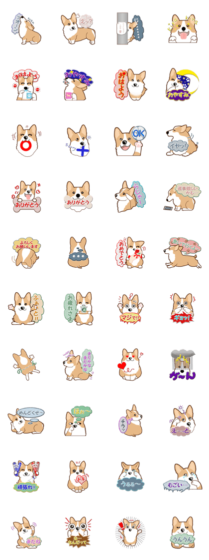 Daily life of Corgi Daily life of Corgi