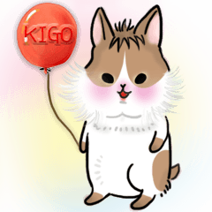 KIGO with the fluffy bangs