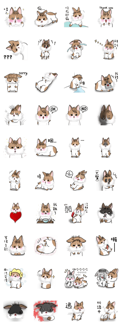 KIGO with the fluffy bangs