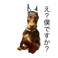 Rachel Shop_20200706223422