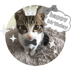 mizuki_20200706231952