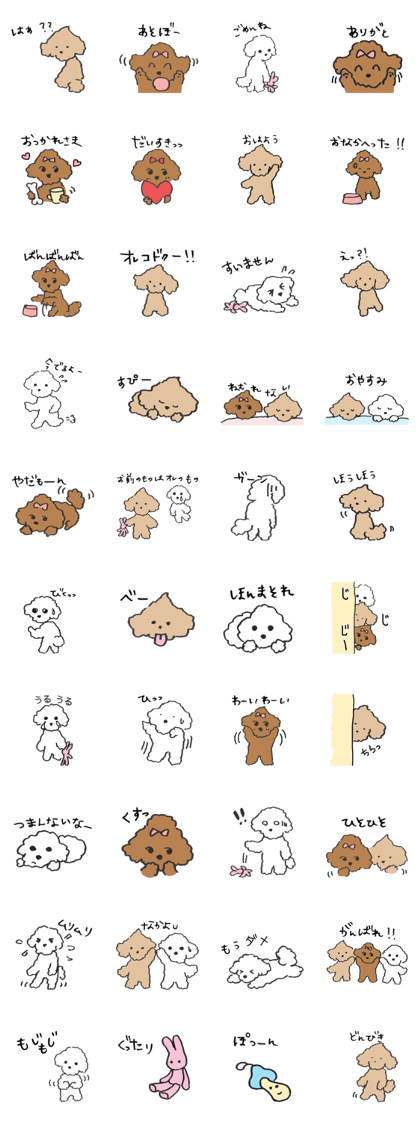 happy toy poodle life