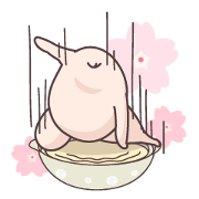 Samgyetang in Spring