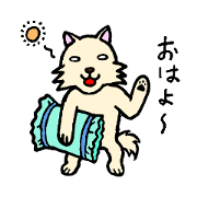 A dog whth short legs