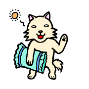 A white dog with short legs A white dog with short legs