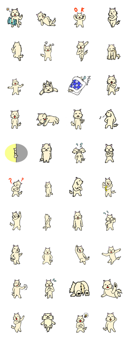 A white dog with short legs A white dog with short legs