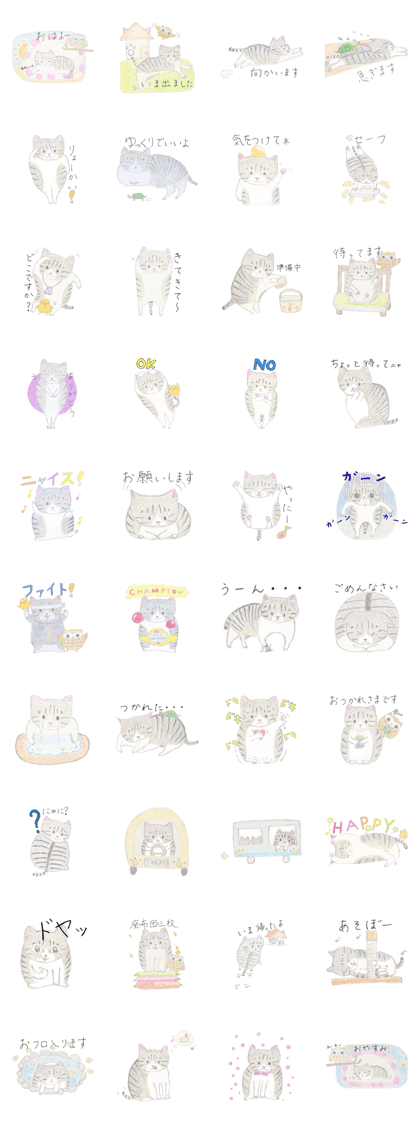 Day Chibitan a pheasant tiger white cat