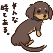 Dachshund MUGI-san vol.1 (BK ver.) Dachshund MUGI-san vol.1 (BK ver.)