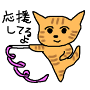 The cat challenges 40 kinds of sports The cat challenges 40 kinds of sports