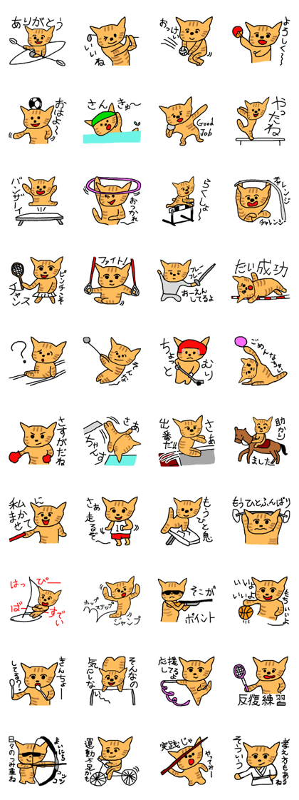 The cat challenges 40 kinds of sports The cat challenges 40 kinds of sports