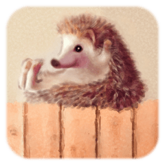 BOCKLE  -The hedgehog-