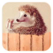 BOCKLE  -The hedgehog-