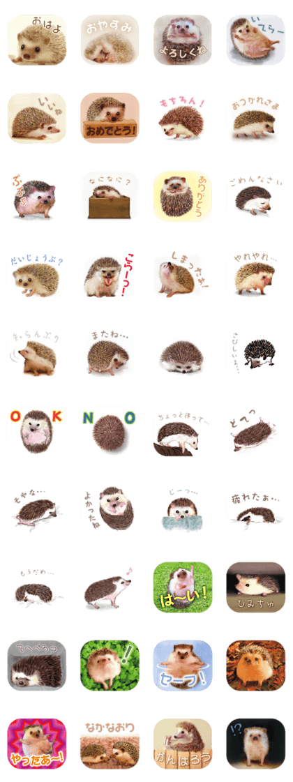 BOCKLE  -The hedgehog-