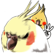 Creatures such as the cockatiel 3 Creatures such as the cockatiel 3