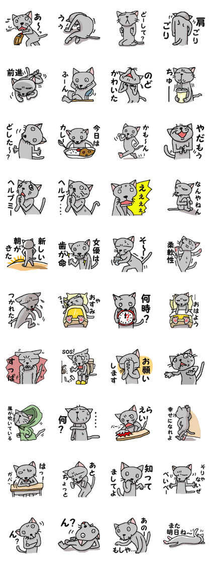 He is a cat named Gal 7 He is a cat named Gal 7