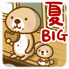 突撃！ラッコさん Bigな夏