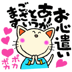 Cat,s Pi-chan Heartwarming daily life 2