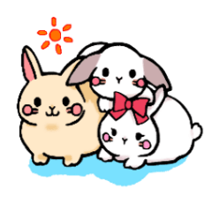 Rabbit three siblings