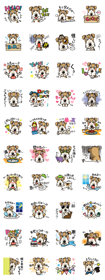 iinu  Wirehaired Fox Terrier