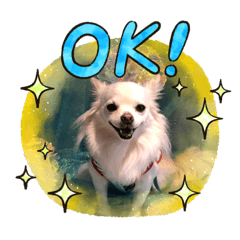 JUNKO_20200707190113