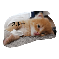 hayato_20200707212240