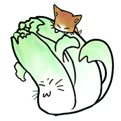 Chinese cabbage cat