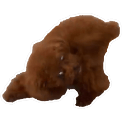 ayumi_20200707234658