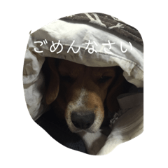 Saori_20200707234506