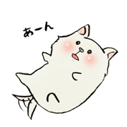 white fat dog
