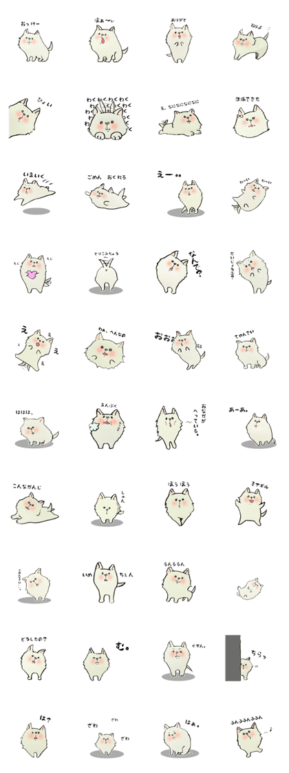 white fat dog
