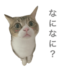 sumire_20200707213247