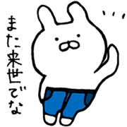 Jeans rabbit
