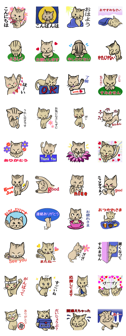 The stickers of comical and cute cats