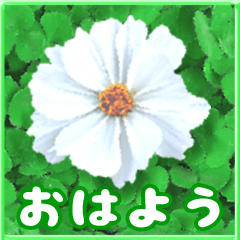 Big Stickers - flower message 