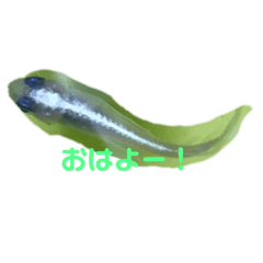 Yurina_20200708001215