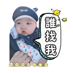 程程豬來了