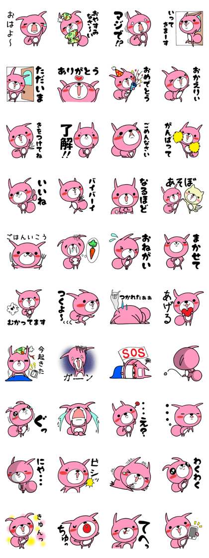 Daily life of a USAKO