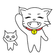 The cat & The kitten