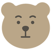 the bear who has eyebrows