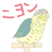 niyon