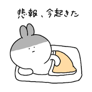 The smile of rabbit 11