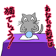 Black cat Mr. Yamada