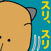 Daily Life of of a Stray Capybara (3)