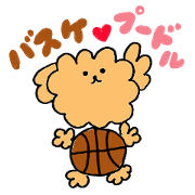 Basketball favorite poodle